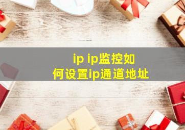 ip ip监控如何设置ip通道地址